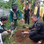 gerakan penanaman pohon