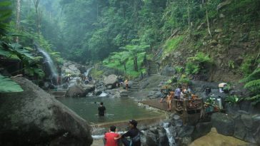 Pangojayyan Caimandala